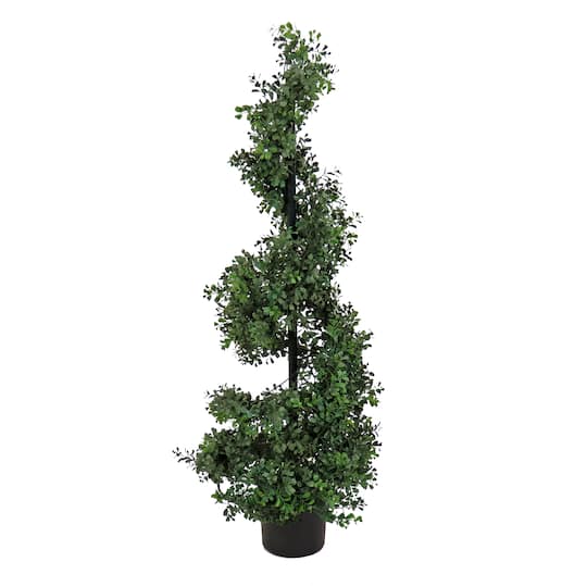 4ft. Boxwood Spiral Topiary In Nursery Pot